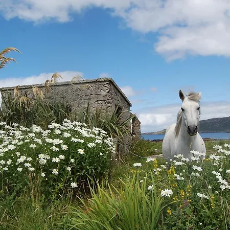 Mountain View House Bed & Breakfast Kinvara