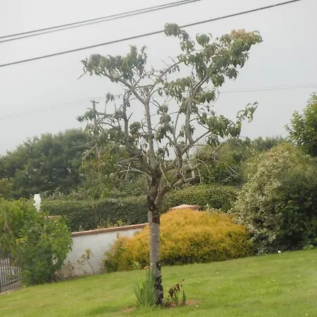 Bed & Breakfast Mountain View House Kinvara